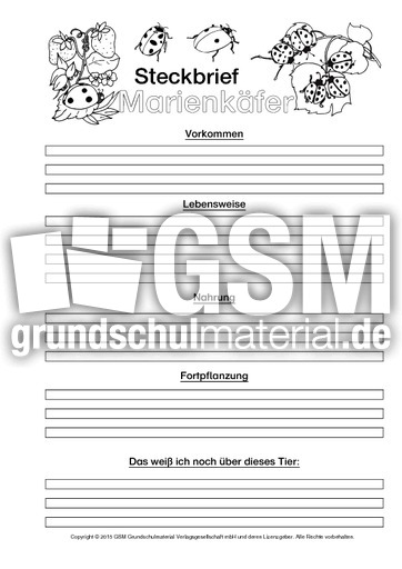 Marienkäfer-Steckbriefvorlage-sw-2.pdf